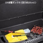 Nissan Cube Z12 luggage underboard